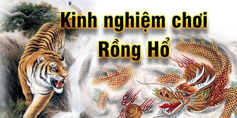 Kinh nghiệm bắt bài trong rồng hổ không thể bỏ qua